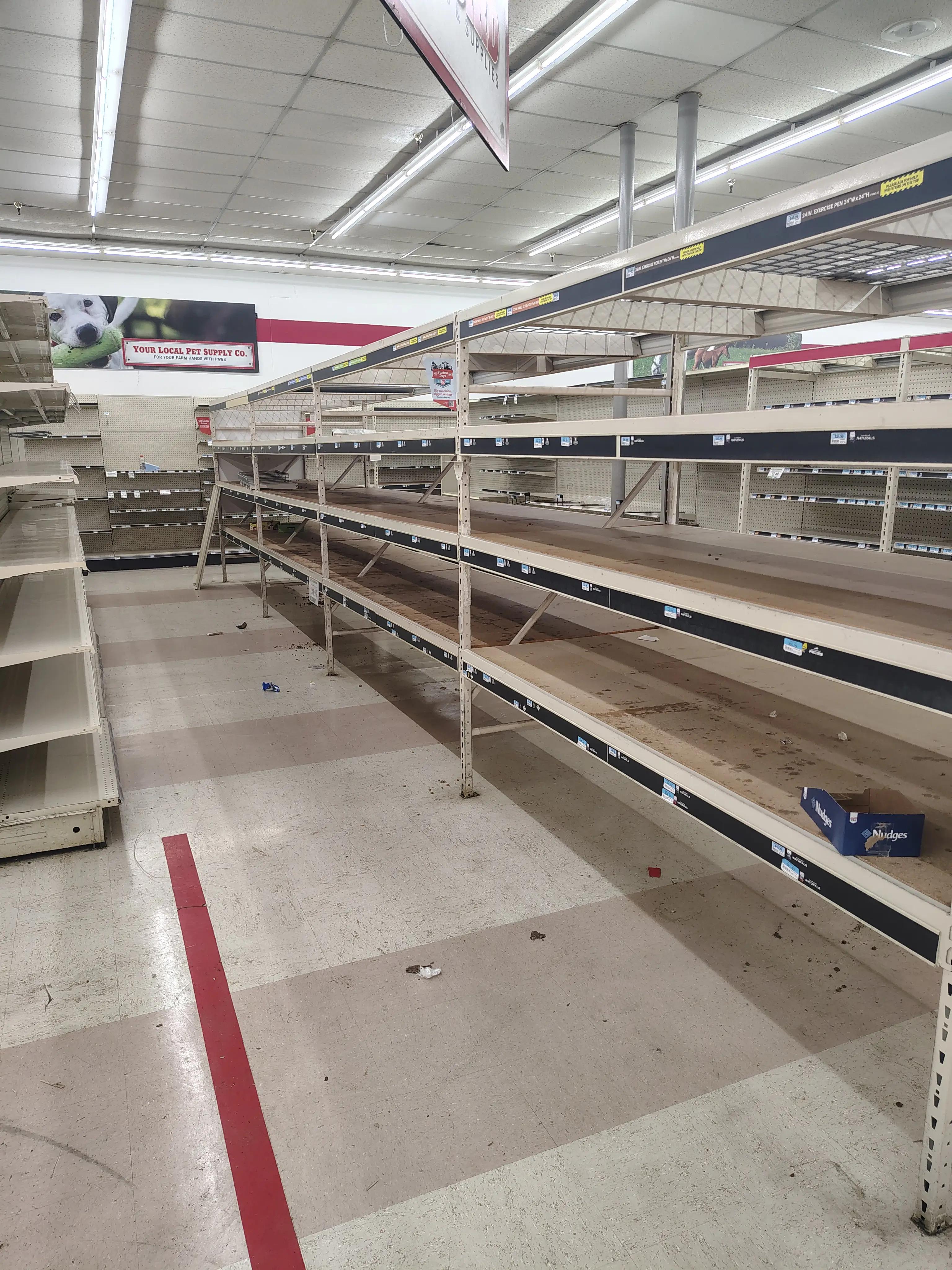 Image of an empty pet supply store with bare shelves and some debris on the floor.